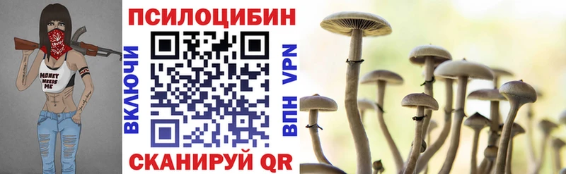 Купить  Шиханы  Галлюциногенные грибы Psilocybe 